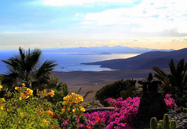 Ferienhaus in La Asomada - Casa Roco 1 Ferienhaus in La Asomada - Casa Roco 1