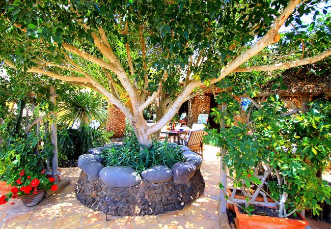 Ferienhaus in La Asomada - Casa Niro Ferienhaus in La Asomada - Casa Niro