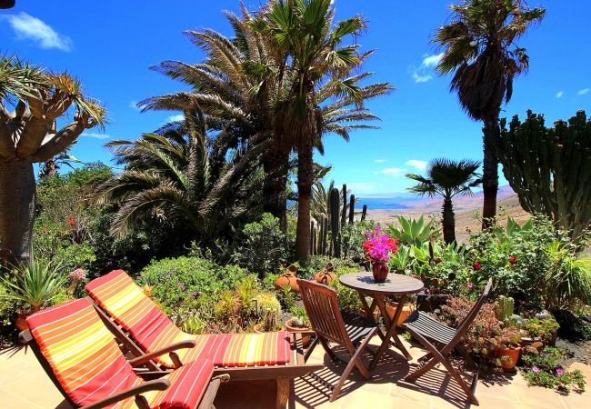 Ferienhaus in La Asomada - Casa Feliz Ferienhaus in La Asomada - Casa Feliz