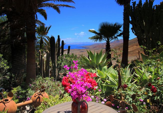 Ferienhaus in La Asomada - Casa Feliz Ferienhaus in La Asomada - Casa Feliz