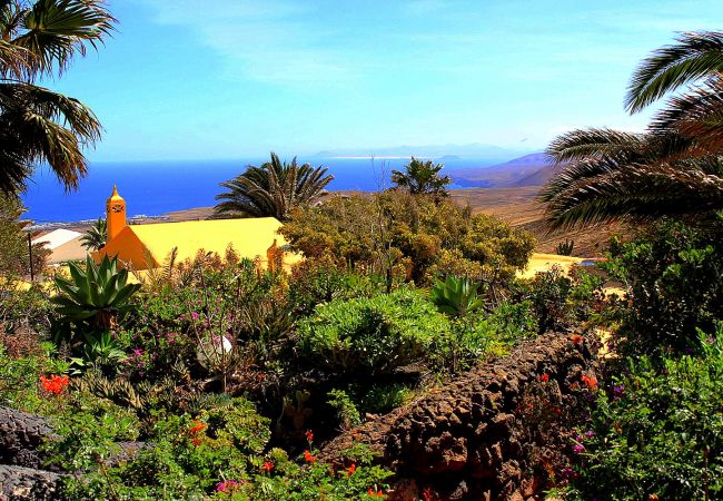 Ferienhaus in La Asomada - Casa Feliz Ferienhaus in La Asomada - Casa Feliz