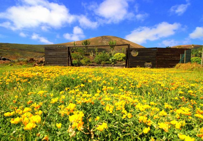 Ferienhaus in La Asomada - Casa Cora Ferienhaus in La Asomada - Casa Cora