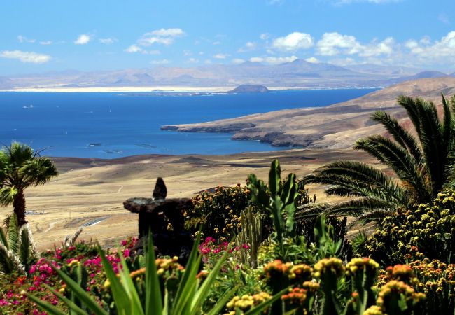 Ferienhaus in La Asomada - Casa Cora Ferienhaus in La Asomada - Casa Cora