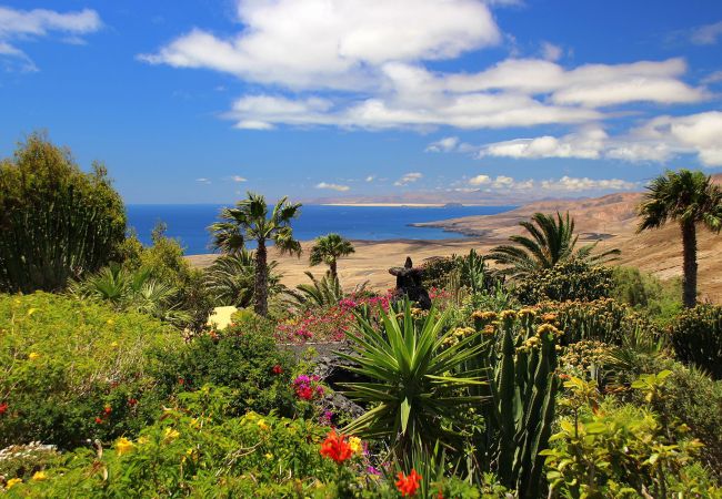 Ferienwohnung in La Asomada - Casa Lava Ferienwohnung in La Asomada - Casa Lava